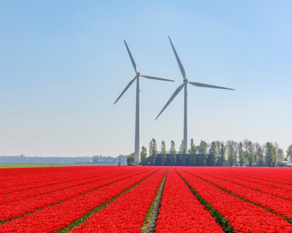 GIS-viewer windprojecten