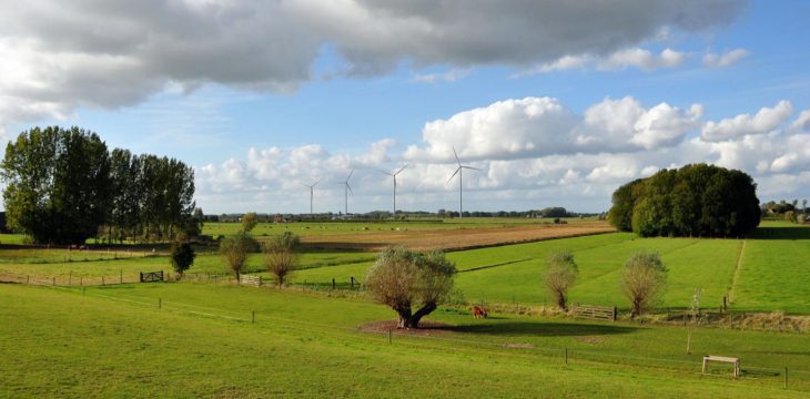 Omgevingsvergunning windpark Goyerbru