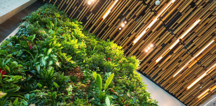 Een bouwfysisch goede ruimte, dankzij planten, licht en hout