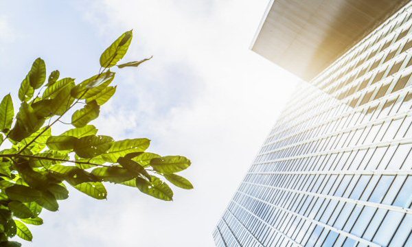 Circulariteit in kantoorvastgoed