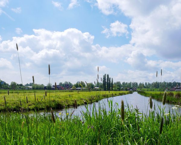 Afstudeeronderzoek landschapsgronden